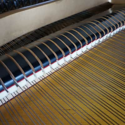 Baldwin Model L Grand Piano Ebony Black Free In-Home Delivery image 10