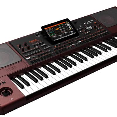 Korg PA1000 61-Key Professional Arranger image 2