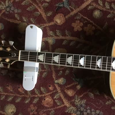 Epiphone NV 390 J 1977 to 1979 Natural | Reverb