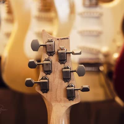 PRS Silver Sky Nebula Electric Guitar - John Mayer Signature Model - 1 of 500 Made! image 18