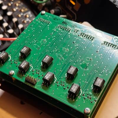 Make Noise QMMG Module 2018 - Present - Black & Gold image 4