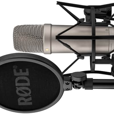 RODE NT1 5th Generation Large-Diaphragm Studio Condenser Microphone with 32-Bit Float Digital Output and XLR and USB Connectivity (Silver) image 6