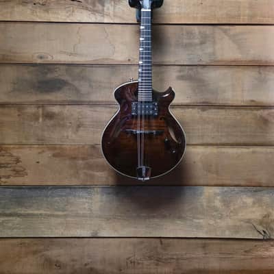 Pre-owned Eastman ERM El Rey Acoustic/Electric Mandolin w/case image 8