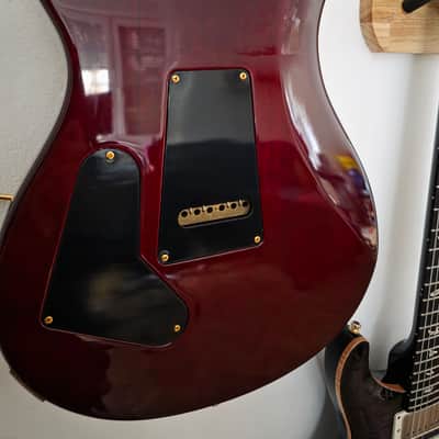 PRS 25th Anniversary Custom 24 2010 - Smoked Amber image 6