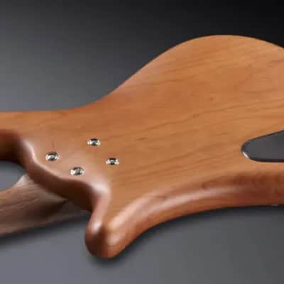 Warwick Pro Series Streamer LX | 4 String | Natural Transparent Satin image 3