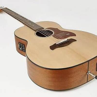 richwood  b 20 e  chitarra elettrificata acu... image 1