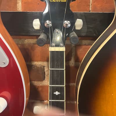 Danville Banjo 2024 - Wood image 3