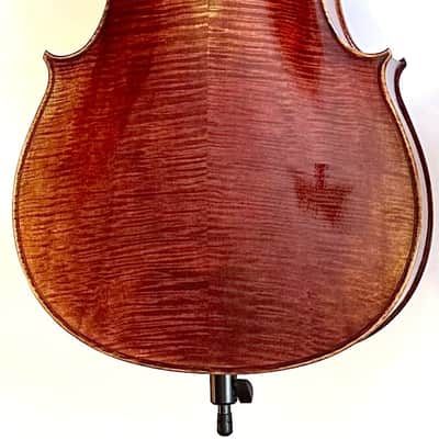 Sandro Luciano Los Angeles, California 4/4 Cello image 3