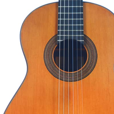 Eugenio Riba 2020 Classical Guitar "La Pluma" – A Masterful Copy of an Antonio de Torres Guitar - Check Video! image 3
