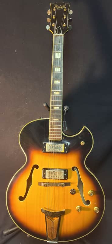 Raven Archtop Electric 1960's or early 70's - Tobacco brown sunburst image 1