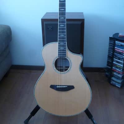 Breedlove Stage Concert image 2
