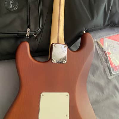 American Performer Timber (Sassafras) Stratocaster gig bag USA image 6