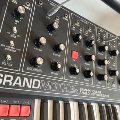 Immagine Moog Grandmother (Dark edition) - 3
