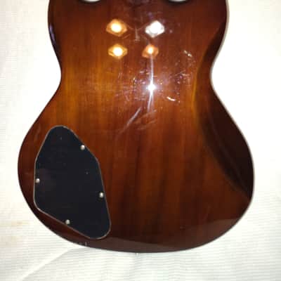 Jay Turser JT50 Set Neck Very Solid Guitar image 8