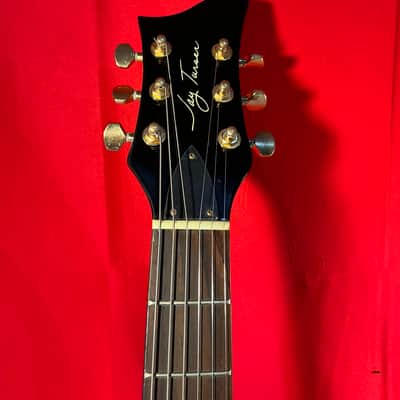 Jay Turser JT-220 image 6