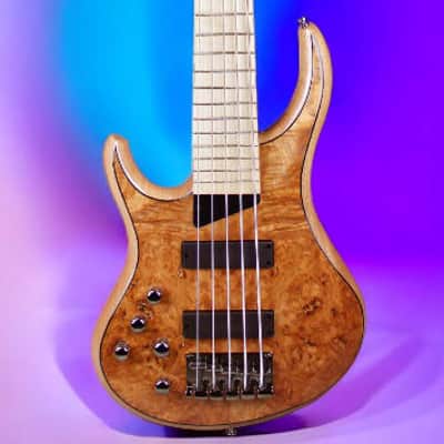 MTD Kingston Kingston Z5 lefty Natural Gloss Gloss, Maple Fretboard image 1