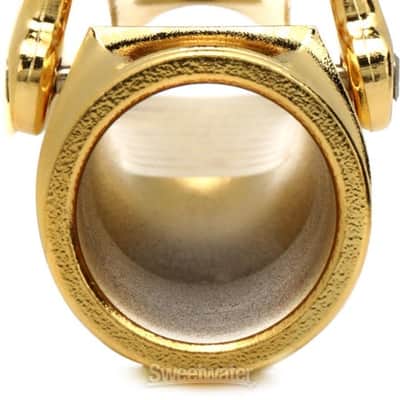 Theo Wanne AMBIKA 4 Tenor Saxophone Mouthpiece - 7*  Gold-plated (Ambika4GTS7Sd1) image 7