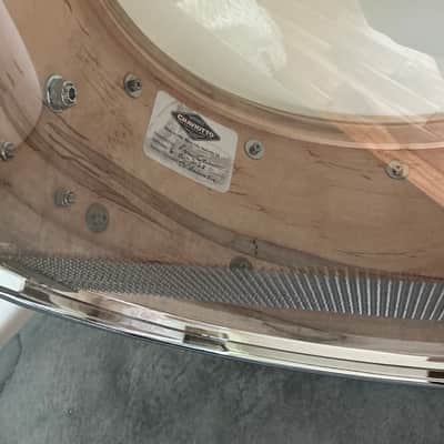 Craviotto Private Reserve 7X14 Wormy Ambrosia Maple Lacquer image 7