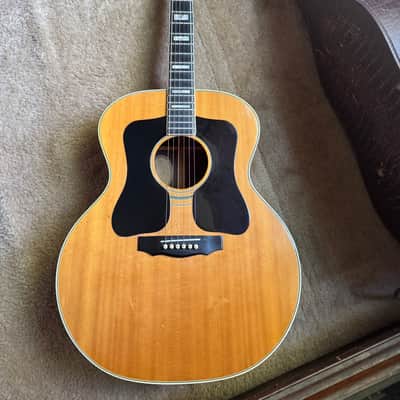Immagine 1975 Guild F 50 R - 1