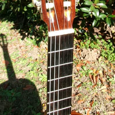 Masaru Kohno (河釁 賢) Classical Guitar 1965 Vintage Japanese Custom Handmade With Original Hard Case image 11