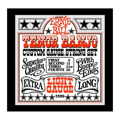 Ernie Ball 2306 - Tenor Banjo Light Bild 1