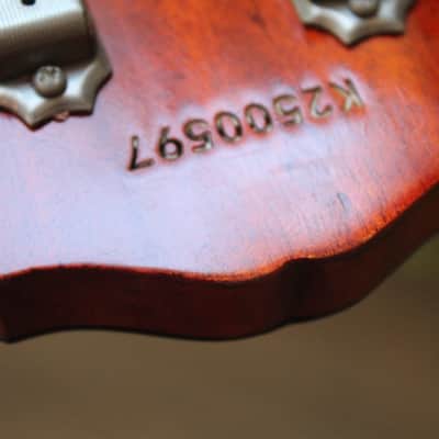 EASTMAN "SB55 Double Cut Truetone Vintage Red" HARDCASE, 2, 94 KG image 9