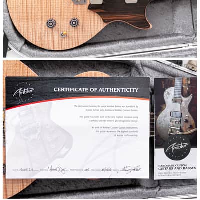 2016 Ambler Hound Dog P90 in Natural image 12