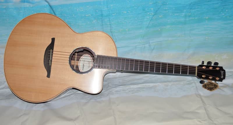 Hsienmo F Model, Rosewood- LR Baggs HiFi 2026 - Satin Sheen image 1