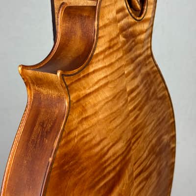 Tonedevil OFM Octave Mandolin 2026 - Tobacco Honey Amber Satin image 11