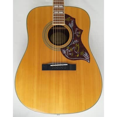 Epiphone Hummingbird - 2008 image 3