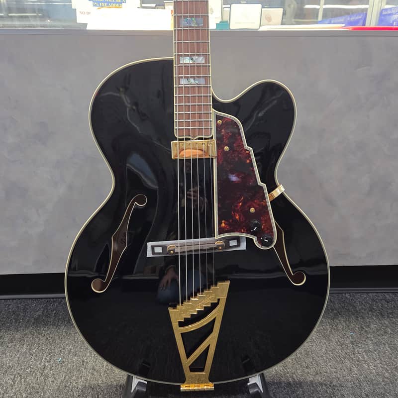 D'Angelico Excel EXL-1 Hollow Body Archtop with Pau Ferro Fretboard 2018 image 1