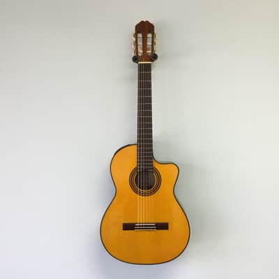 Takamine EG522c Classical Guitar With Electtronics and Hardshell Case image 2