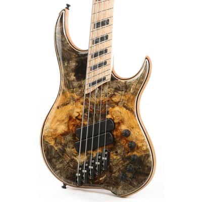 Dingwall  Z2 5 String Bass image 7