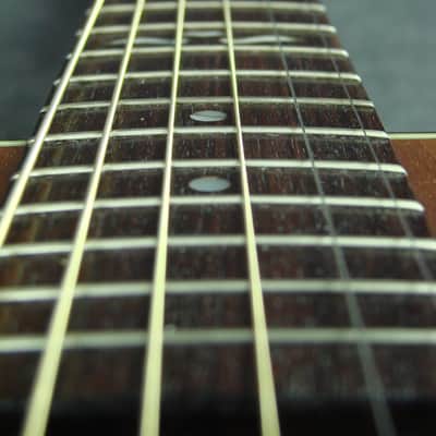 Alvarez 5020M Silver Anniversary Dreadnought Acoustic Guitar image 13