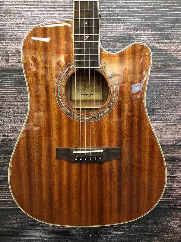 Zager ZAD50CE MHGT Acoustic Electric Guitar (Sarasota, FL) image 1