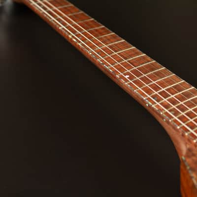 Hoff Guitars Valnut (Neck-Through, Multi-Scale, Semi-Hollow V 2024 - Polymerized Tung Oil image 20
