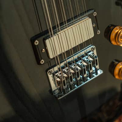 Washburn Hawk 12-String Trans Black image 11