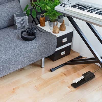 Universal Sustain Pedal with Polarity Switch for MIDI Keyboards, Digital Pianos, Synths image 8