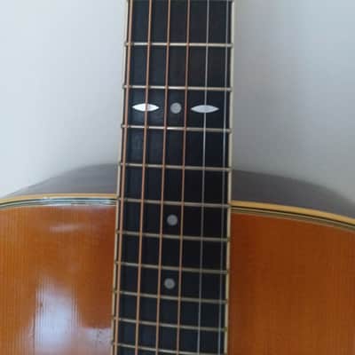 Tokai Cat's Eyes CE-200 Dreadnought Acoustic 1982 image 2