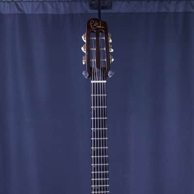 Godin Multiac Jazz Sa image 7