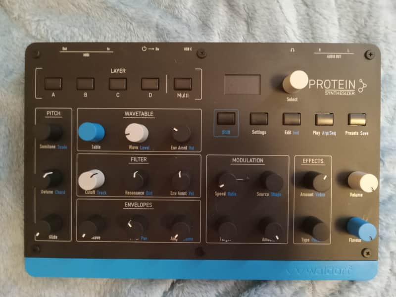 Waldorf Protein Desktop Synthesizer 2026 - Present - Black with Blue Sides