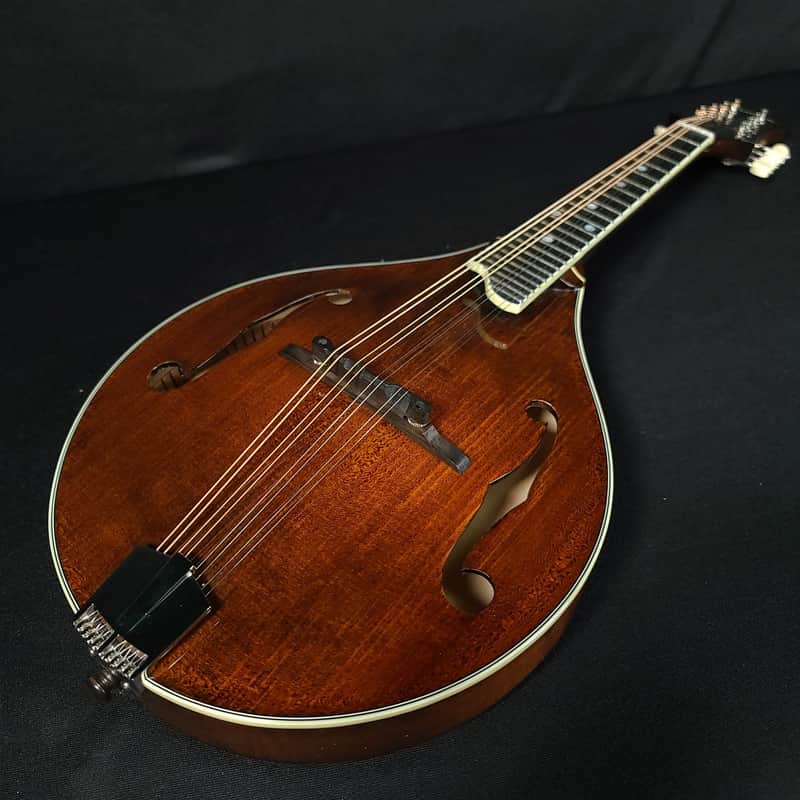 Eastman MD505 Mandolin A Style Classic Finish w/ Case image 1