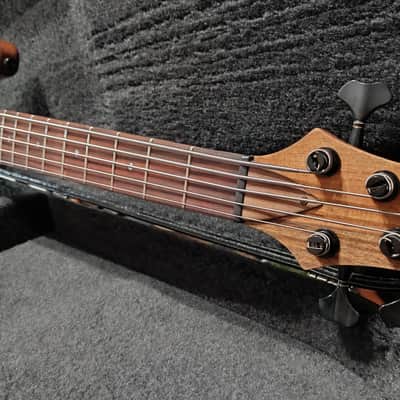 Corpus Buddy Bass 5 Strings - Lodato Guitars Handcrafted image 5