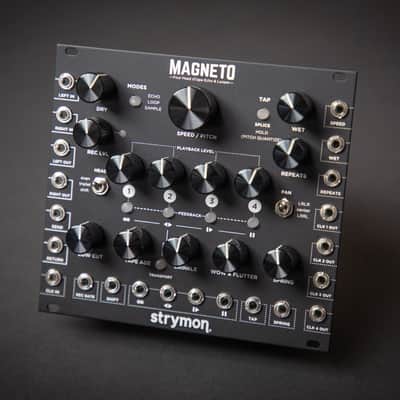 Strymon Magneto image 1