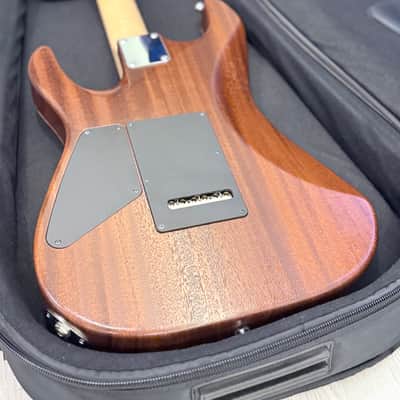 Dragonfly HI-STA 22 CUSTOM image 6