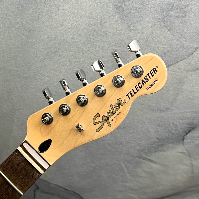 Squier Loaded Affinity Thinline Telecaster Neck with Laurel Fingerboard image 1