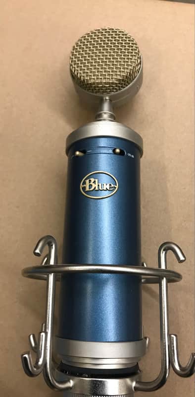 Blue Bluebird 2020s image 1