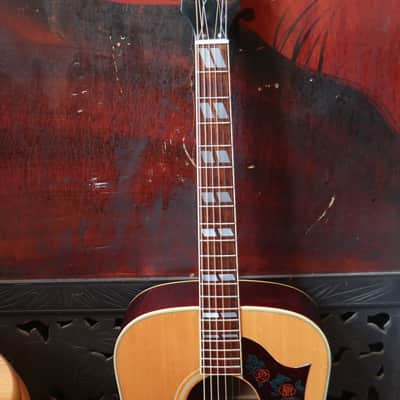 Early MIJ Lawsuit Dove by Mountain W-250 1974 image 8