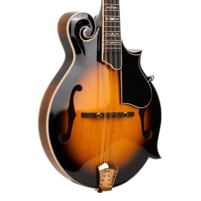Gold Tone Mastertone™ GM-70+: F-Style Mandolin with Case image 25