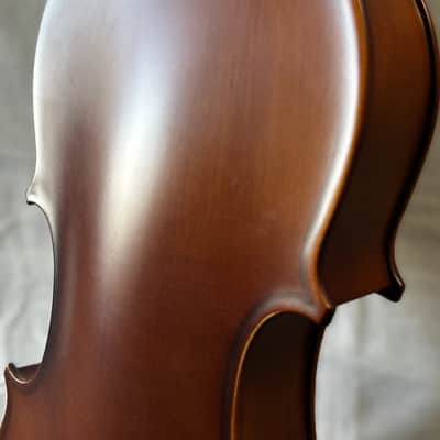 SofiaMari 310E 16 Viola image 24